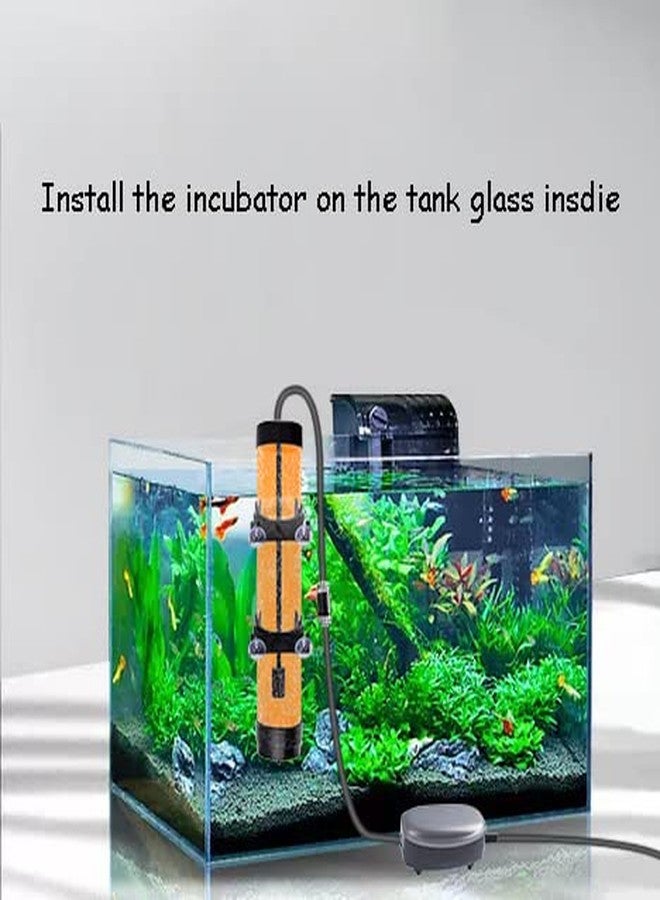 NestBasics Brine Shrimp Hatchery Kits brines Shrimps Eggs Incubator Hatchery brine Shrimp Eggs Incubator Artemia Hatcherying with Silver air Pump - Image 4